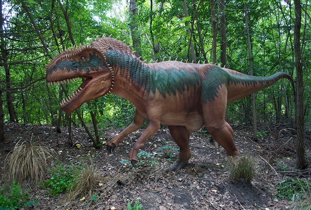 See a megalosaurus in the wild!