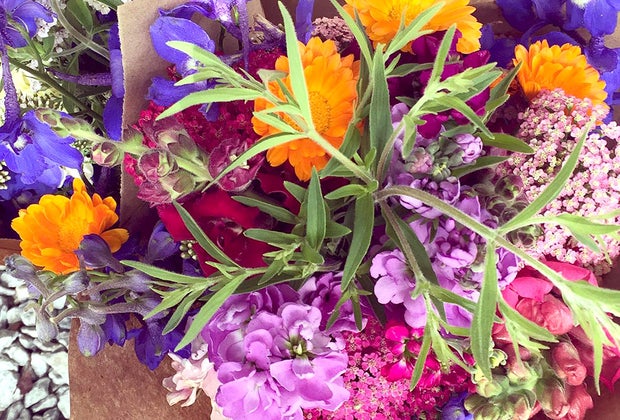 Image of flowers - Pick-your-own flower farms near Boston