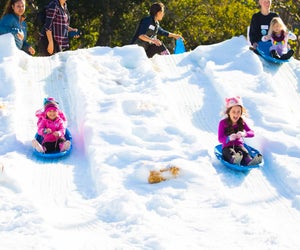 There's always snow at the Snow Leopard Festival. Photo courtesy of the Santa Barbara Zoo