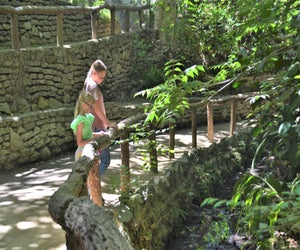 So much to observe in nature along the hidden Ferndell trail.