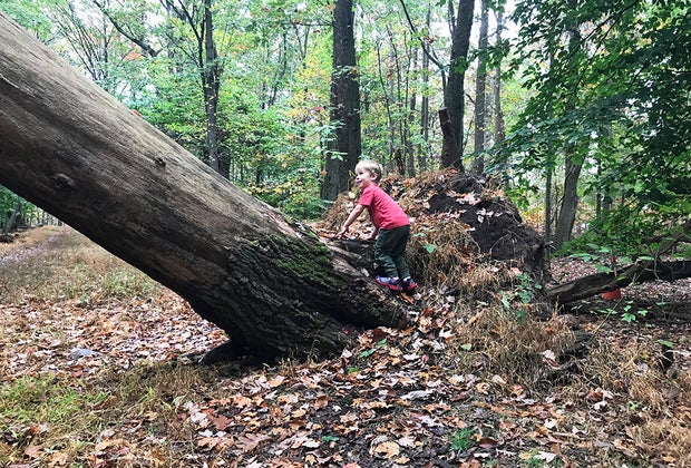 South Mountain Reservation offers plenty of open space to explore