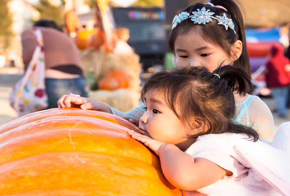 Where your little pumpkin can meet up with a great pumpkin. Photo courtesy of Speer Family Farms