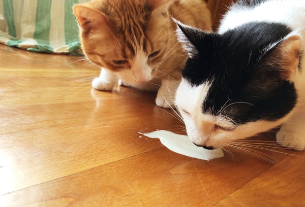 A Swiss NYE tradition is pouring a dollop of cream for a rich year ahead.