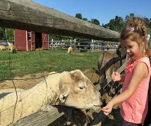 Enjoy fun on the farm during Alstede's Easter and Springtime Festival. Photo by Rose Gordon Sala