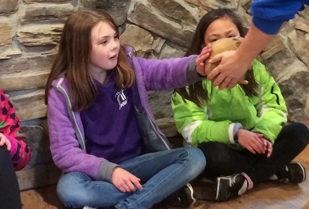 Image of animal encounter at Southwick's Zoo