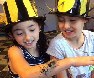 Introduce kids to the mysterious world of bugs at the Long Island Children's Museum's annual Bug Bonanza event. Photo courtesy of LICM