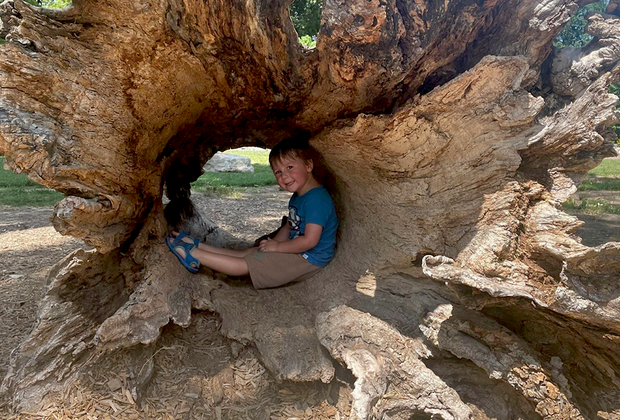 Forest Park St. Louis, MO Best Travel of 2022: Our Favorite Cities, Beaches, Hotels, and More for a Family Vacation