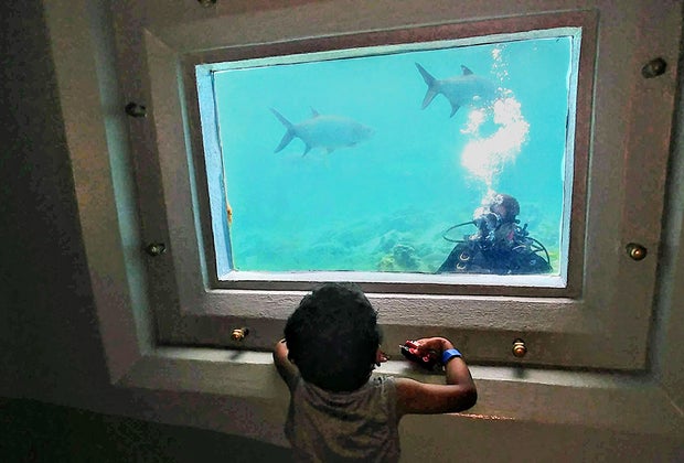 St. Thomas with Kids: Coral World Ocean Park