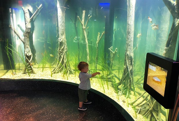 Staten Island Zoo Aquarium