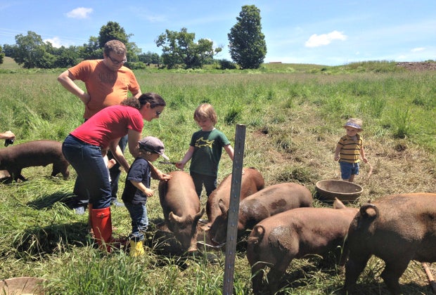 Farm stays near NYC: Stony Creek Farmstead