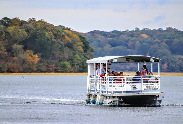 Discovery Wetlands Cruise in Stony Brook