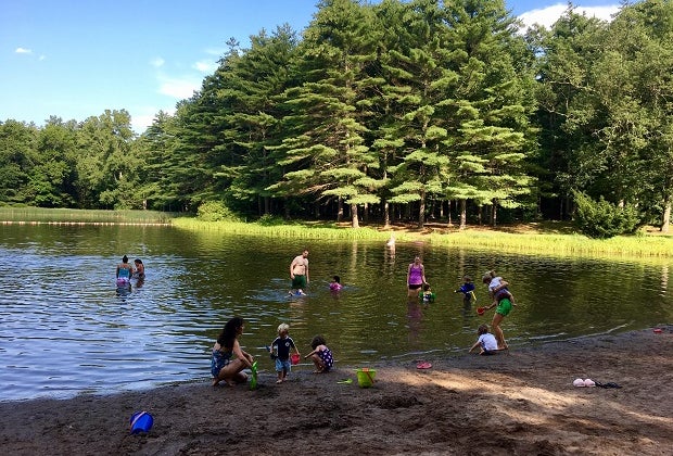 Summer Fun at Stratton Brook State Park