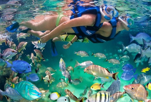 Photo of snorkeling at Xel-Ha in Mexico courtesy the water park.