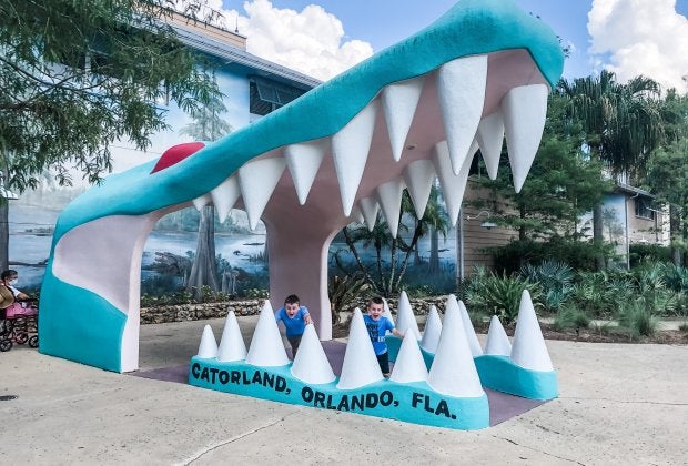 Spend the day at Gatorland!