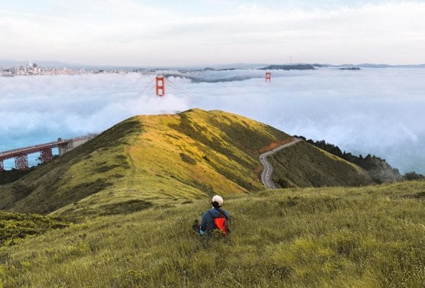 Photo by Dnaiel Gorosteita via Pexels