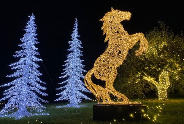 Lumagica packs plenty of twinkling holiday cheer into the grounds at Harvest Moon Orchard.