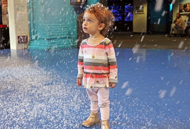 Photo courtesy of the Maritime Aquarium