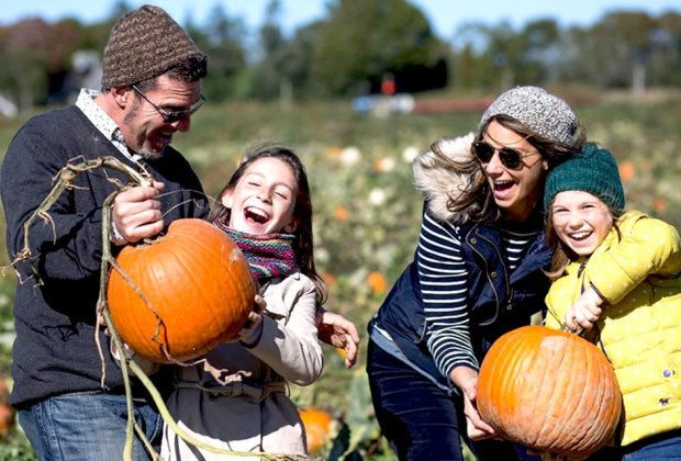 Head to Harbes Family Farm for a day of pumpkin picking and fall fun.  
