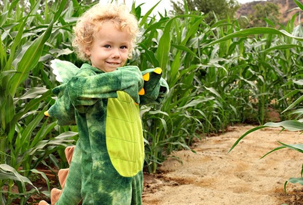 The Pumpkin Factory's Live Oak Canyon Corn Maze is fun for kids and dragons.