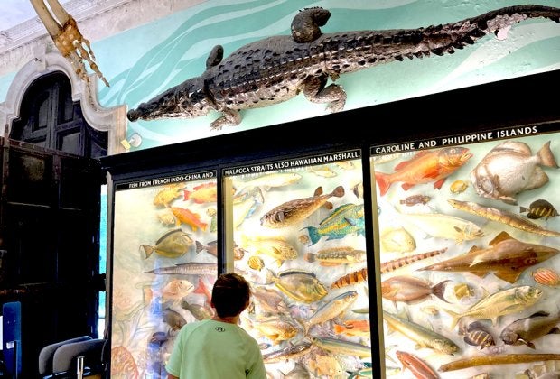 The Vanderbilt has a planetarium, an expansive mansion, and a museum, making it a great place to explore on a rainy day. Photo by Kristen Markel