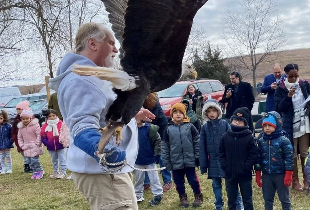 Learn all about eagles at the Teatown Hudson River EagleFest this weekend. Photo courtesy of Teatown