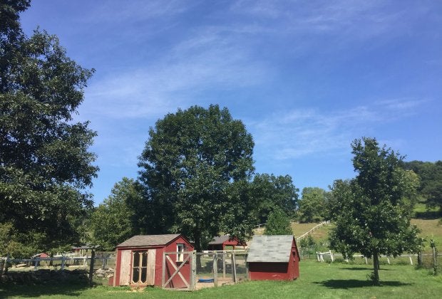 Set on 777 acres in Somers, Muscoot Farm is a sweet spot to visit with young children. Photo courtesy of the farm