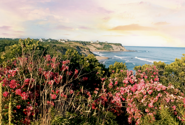 Wander the trails near the cliffs on Block Island.