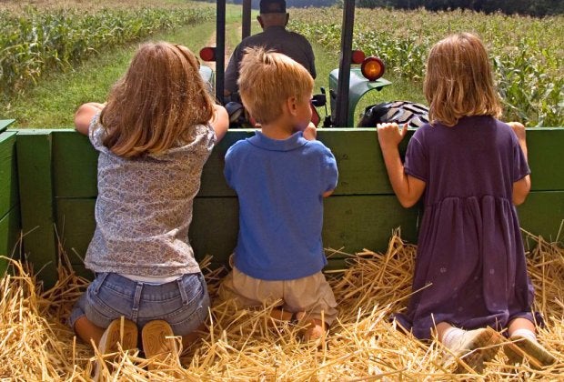 Hop on board these hayrides near Boston in 2025, for kid-friendly fun–and maybe a frightfully good time!