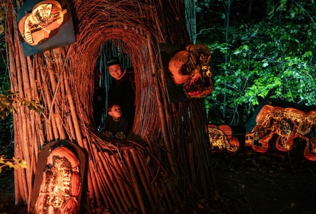 The Bronx Zoo hosts a pair of Halloween events, including the after-dark Harvest Glow. Photo by Terria Clay/courtesy of the Bronx Zoo