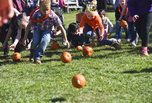 Celebrate the grand seasonal opening of the barnyard pumpkin patch at Harbes Family Farm. Photo courtesy of the farm