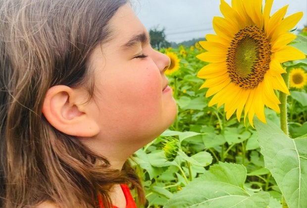 Get out for pick-your-own fun at sunflower farms and flower fields across Connecticut! Buttonwoods sunflower photo by Ally Noel for Mommy Poppins.