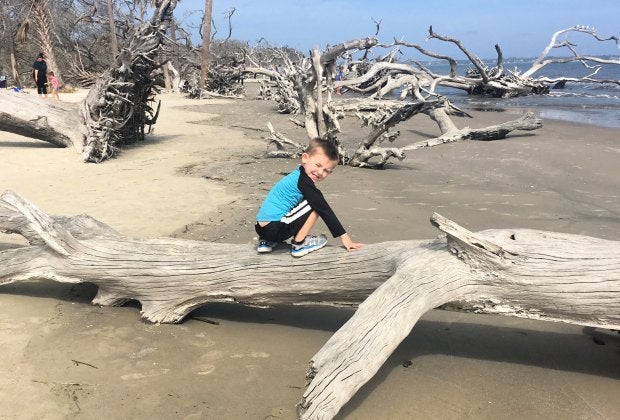 This Jekyll Island beach is filled with driftwood, hence the name: Driftwood Beach! Photo by the author 