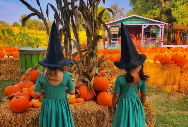 Hitch a ride to the El Dorado Frontier Pumpkin Market. Photo courtesy of theeldoradofrontier.com