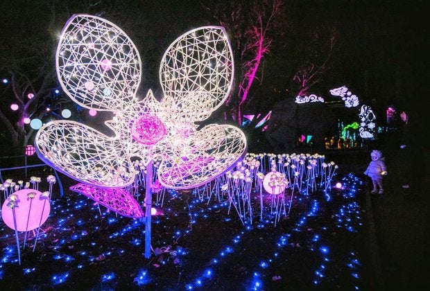 Over a million lights illuminate the Philadelphia Zoo as it transforms into a sparkling winter wonderland, LumiNature. Photo by Georgi Anastov Photography 