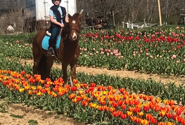 Wander through the brightly colored blooms at Garden of Eve's TulipFest. Photo courtesy of Garden  of Eve