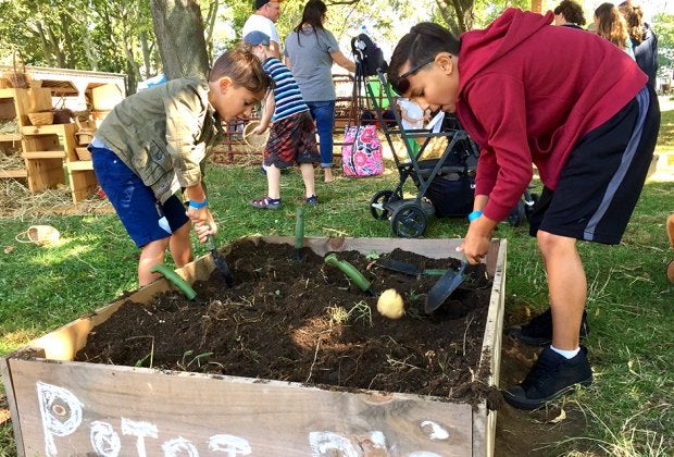 Hallockville Museum Farm hosts the largest fiber gathering on the Island. Photo by Jaime Sumersille