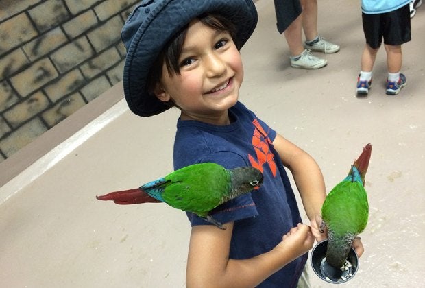 The tropical birds at the Long Island Aquarium sure aren't shy.  Photo courtesy of the aquarium. 