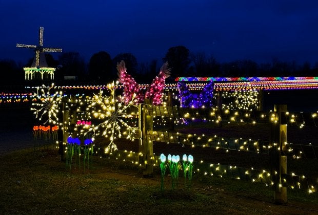 More than 50,000 illuminated tulips will line the fields of Holland Ridge Farms' Winter Wonderland show. Photo courtesy of the farm