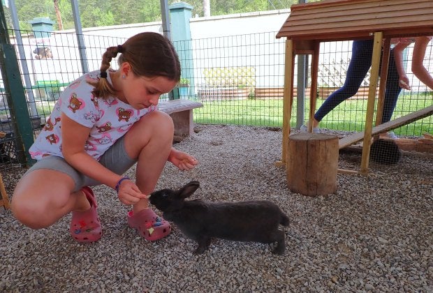 Get up close to a variety of animals at the Arkansas Alligator Farm and Petting Zoo. Photo by the author