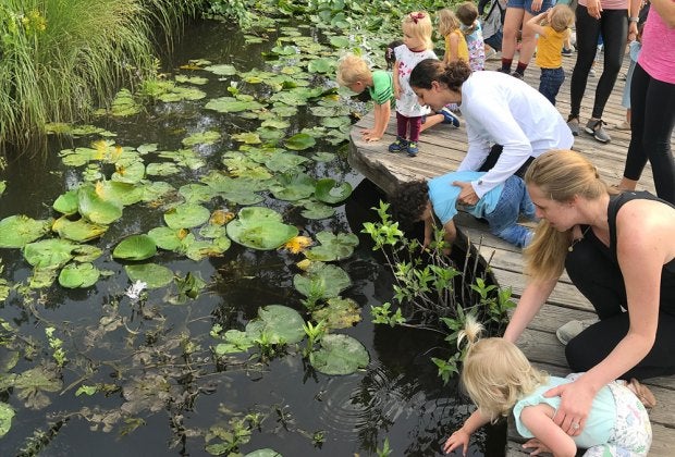 Go for a nature walk in on of Houston's huge parks. Photo by Anthony Rathbun, courtesy of the Houston Arboretum.