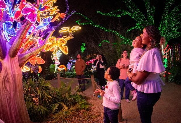 It's the opening weekend of Zoo Lights! Photo courtesy of Houston Zoo