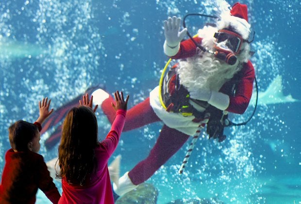 Say hi to Santa on his deep sea dive at the Adventure Aquarium. Photo courtesy of the aquarium