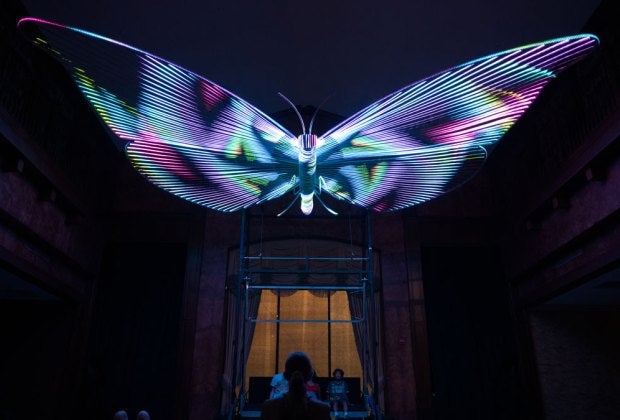"Mariposa" is an art installation at Balloon Museum Dallas. Photo courtesy Balloon Museum Dallas 