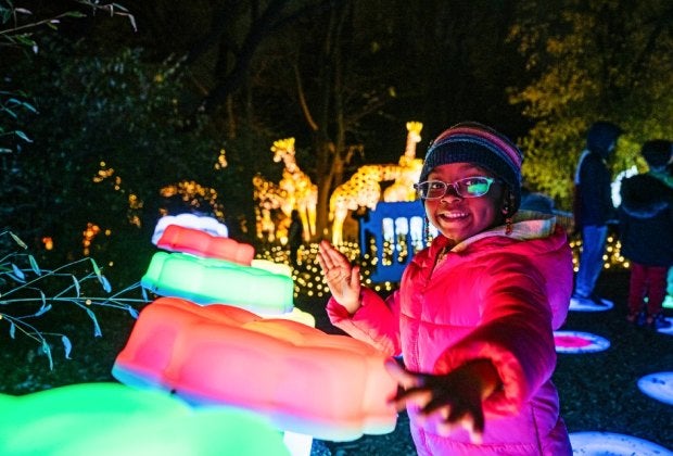 The Bronx Zoo comes to life after dark during its annual Holiday Lights event. Photo by Terria Clay/courtesy of the Bronx Zoo