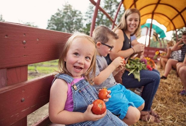 Photo courtesy of Johnson's Corner Farm 