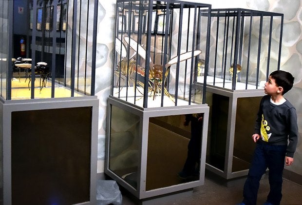 The numerous exhibits at Insectropolis include Rock State Prison, where disease-spreading insects are kept in "solitary confinement."