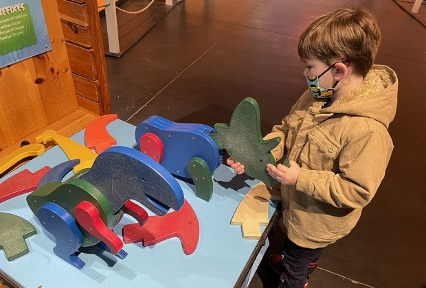 Little ones can create a dinosaur from a series of attachable parts. 