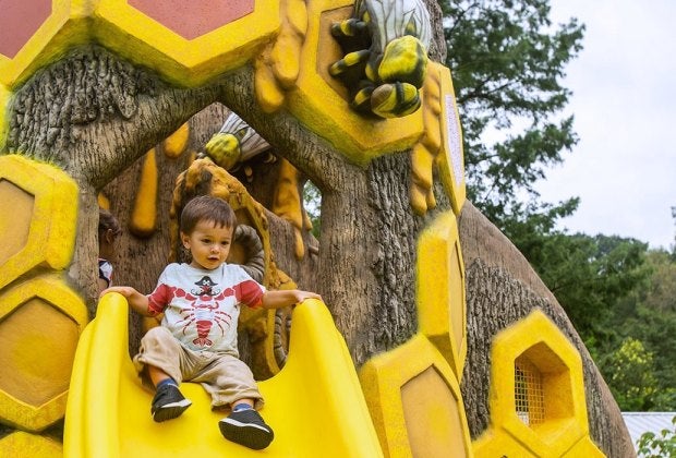 Buzz over to the Me and the Bee playground at the Smithsonian National Zoo. Photo courtesy of nationalzoo.si.edu  