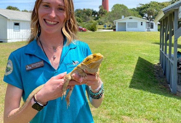 Meet Bubba the bearded dragon at River Center in Jupiter. Photo by Steven Morales