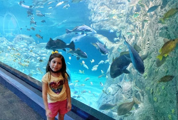 Sea creatures galore wait to greet visitors at the Adventure Aquarium in Camden, New Jersey. 